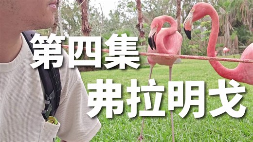 单人小摩托2000km佛罗里达摩旅丨第7-8天 萨拉索塔