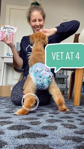 Katie Beth and Cappy (@cappybears)’s videos with PIANO AND CELLO - Treia Music