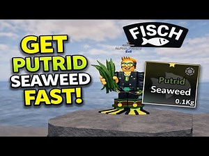 How to Get PUTRID SEAWEED FAST in Fisch (Easy Method!) | FASTEST Way to Get Putrid Seaweed in Fisch!