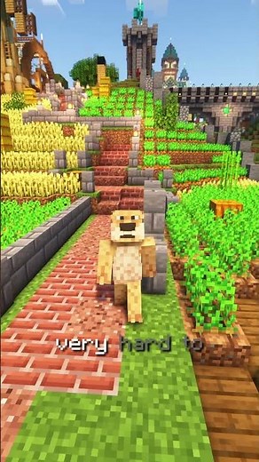 How a Books Can CRASH a Minecraft Server