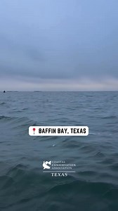 The Jewel of the Texas Coast.📍 Baffin Bay, Texas #JoinCCA #CCATexas #fishing #fishingtrip #angler #saltwaterfishing #fishon | CCA Texas