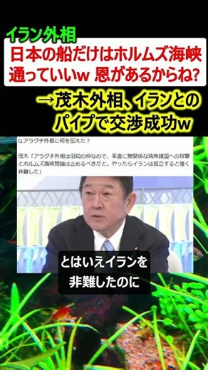 イラン外相「日本の船だけはホルムズ海峡通っていいw 恩返しだ」→茂木外相のパイプで交渉成功w