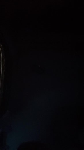 The French inhale wasn’t hittin at all😂#fypシ #explorepage✨ #doobiedenchronicals