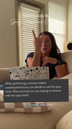 Using a Spay Hook: Insights for Veterinary Students