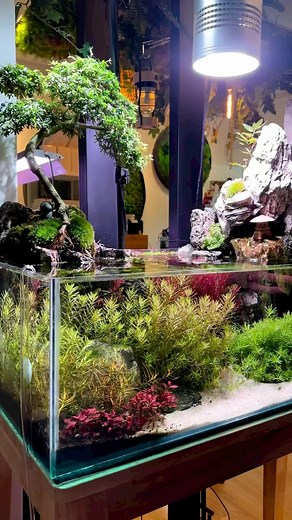 Planted Aqua Labs on Instagram: "Repost @mossarium_kl After a month of Mossarium Hybrid Landscape setup 🍀. . . #mossarium #mossariumkl #paludarium #terrarium #aqua #aquarium #hybrid #live #art #green #living #reels #reelsinstagram #moss #aquaplants"