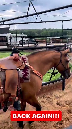 Patrick Smith Roping on Reels