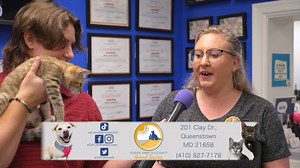 4.9K views · 31 reactions | Animal Service Adoption Process 1....