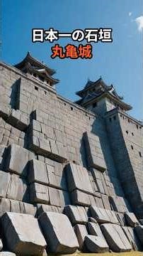 日本一の石垣 丸亀城 #城 # #歴史 #日本史 #築城 # #日本 #城主 #shorts