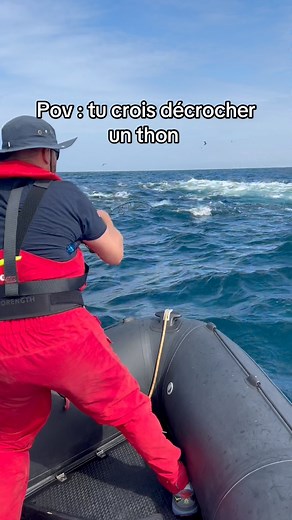 Pêche du thon rouge géant #tunafishing #tuna #biggamefishing #bretagne #pecheur #pecheauleurre | The marine fisher
