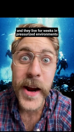66K views · 1.9K reactions | the worst job for claustrophobics #interestingfacts #funfacts #crazyjobs #edutainment #infotainment | Idea Soup | Facebook