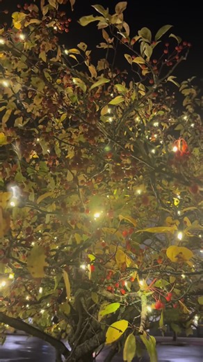 Elevate Your Day with Simple Motivation #motivation #inspirationalquotes #selfimprovement #creatorsearchinsights #positivity