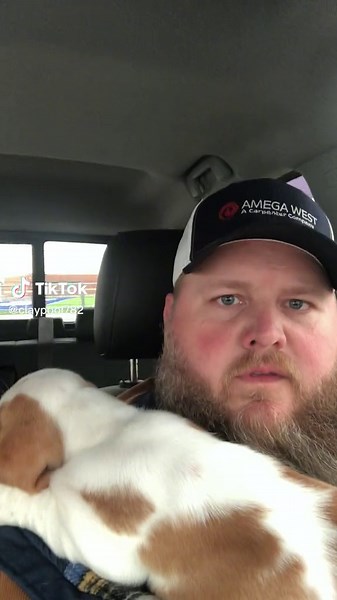 Clara the Bassett on TikTok