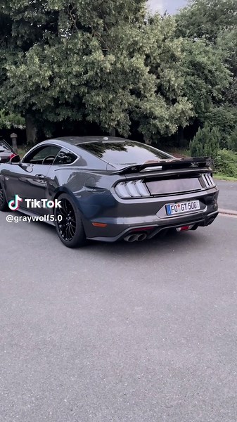 Ford Mustang GT Cold Start Experience