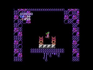 A fun Metroid password