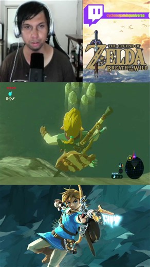 What Luck | The Legend of Zelda: Breath of the Wild