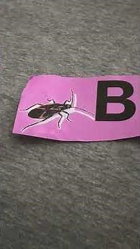 The Wiggles Butterflies Flit (Dorothy The Dinosaur)