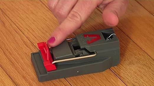 Deadfast How To Use Quick Kill Mouse Trap