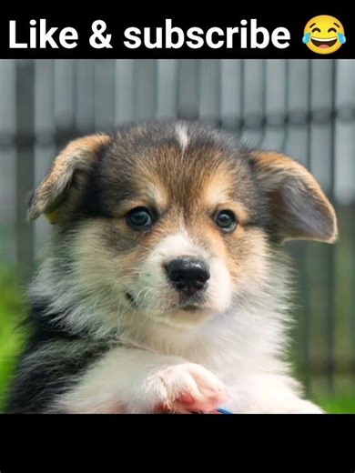 what did the computer say to the group of numbers? 🤣funny oneliner joke🤣