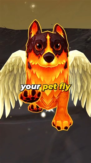158K views · 1.7K reactions | How to make your pet fly in World of Warcraft #warcraft #worldofwarcraft | CodexBro | Facebook