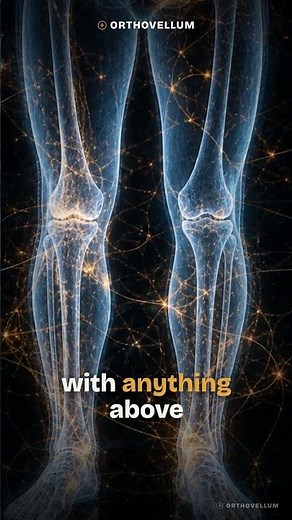 Ankle Fracture Radiographs: Mortise View, Clear Spaces & Maisonneuve