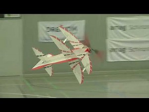 F3P World Championships 2025 - F3P-AP - Sylvain PASINI (SUI)