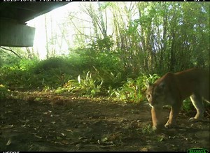 20K views · 836 reactions | It's always great when we get video from...