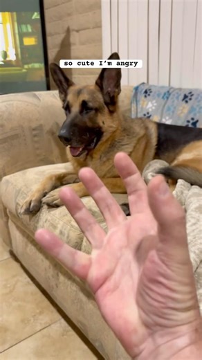 so cute i’m angry 😡 😤