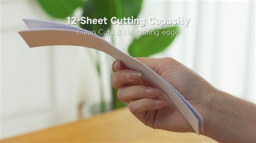 Watch Firbon 12 Inch Guillotine Paper Cutter on Amazon Live