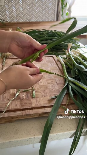 Green Garlic Powder Process | Step-by-Step Guide