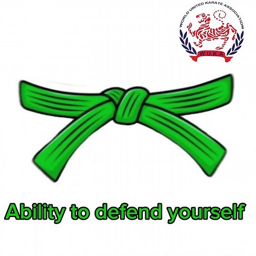 The Philosophy of Belts in Karate #karate #کاراته #فن_القتال #martialarts #sports #عمان #الكاراتيه