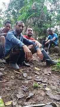 Panama donkey waleya mundeya de halat