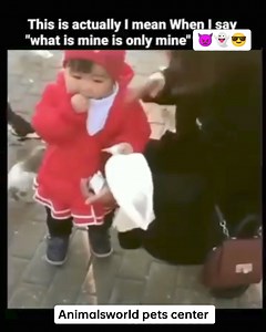 9.5K views · 37 reactions | 梁 | Animals World Pets Center & Pets Clinic | Facebook