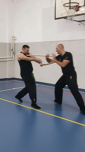 Kenjutsu Techniques: Mastering the Reverse Grip Katana