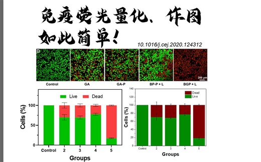 ImageJ 免疫荧光量化