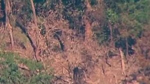 Listen to audio of 911 call after pilot ejects from F-35 jet