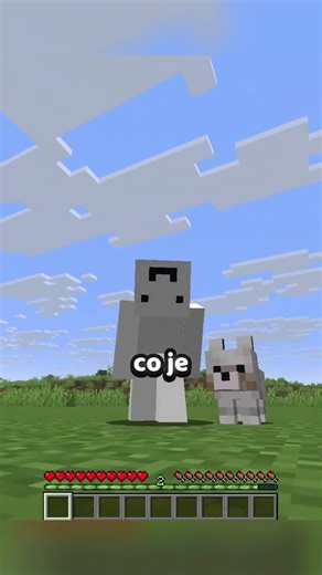 Nejvíc roztomilé mládě v Minecraftu...
