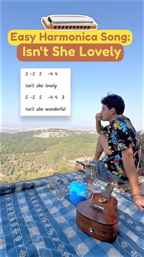 EASY Harmonica - Isn't She Lovely 🕺🏻