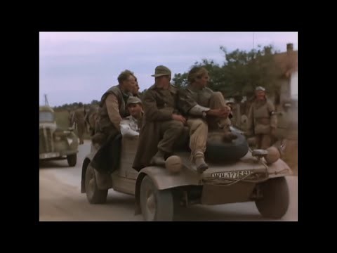 German and Italian Surrender in North Africa 1943 - HD COLOR