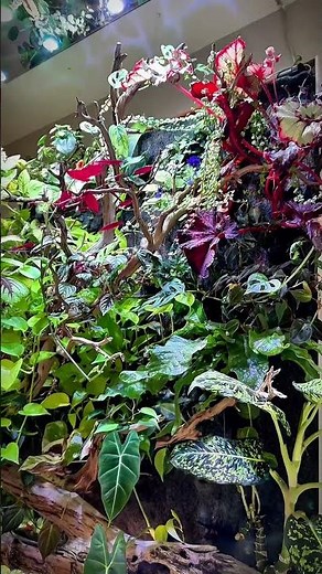 This isn’t just a fish tank, it’s a living ecosystem 🤯