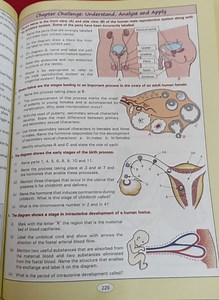 Shown below is the front view (A) and side view (B) of the huma... | Filo
