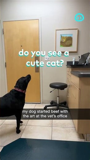 Dog Starts Beef With Vet Office's Cat Art || ViralHog Shorts