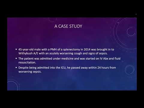 Stop Auditing, Start Improving: The PDSA Cycle Explained