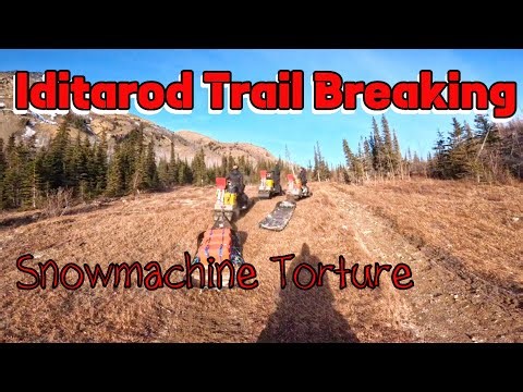 Iditarod Pre-Trail Trip - Day Six