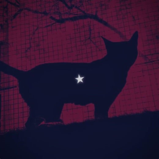 My second favorite color (my favorite colors are red and black) #alterhuman #therian #quadrobics