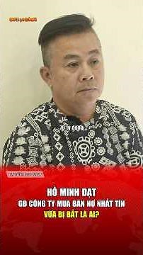 Who is Ho Minh Dat - the director of Nhat Tin Debt Trading Company who was recently arrested?