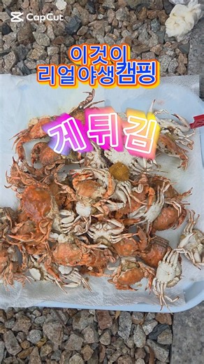 캠핑의불편한진실2 #갓잡은해산물로상차리기 #대부도 #직접만든것들 #대박도토리묵 #달품해명장님들