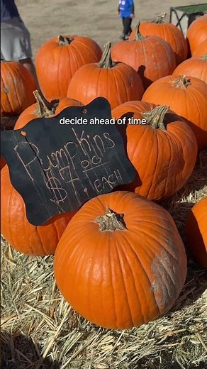 4 Tips for Visiting Pumpkin Patches Near Denver | Fall in Colorado 🎃