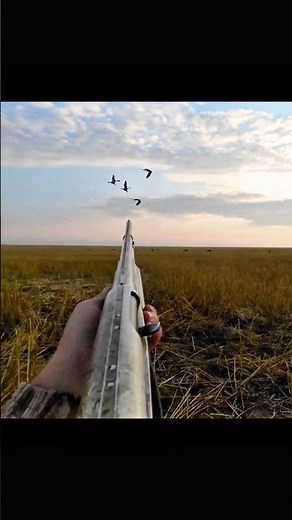 Wild ducks, fast shots, real action 🦆⚡ #DuckHunt #Shorts #hunting #hunthowdown