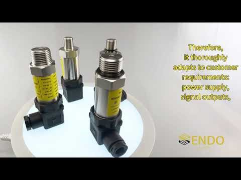 Vacuum Pressure Sensor SS302