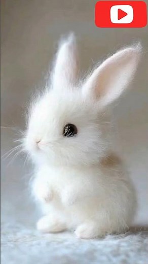 Cutest Baby Bunny Dance Moments – You Won't Believe Your Eyes!